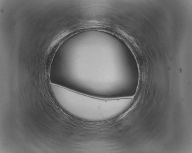X0000067851453200604130907