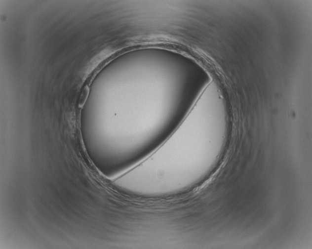 X0000067851457200604130907