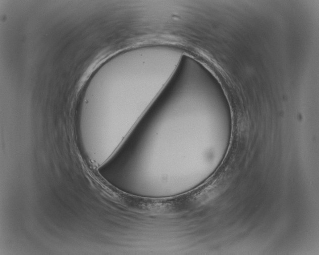 X0000067851459200604130907