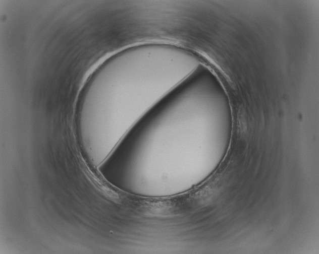 X0000067851460200604130907