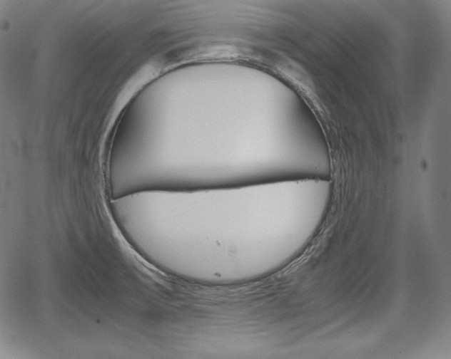 X0000067851475200604130907