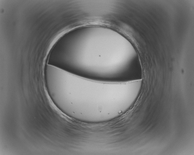 X0000067851483200604130907