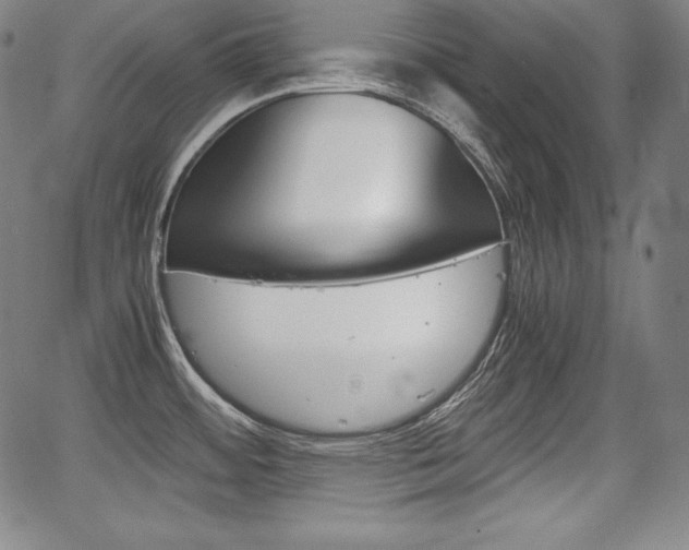 X0000067851484200604130907