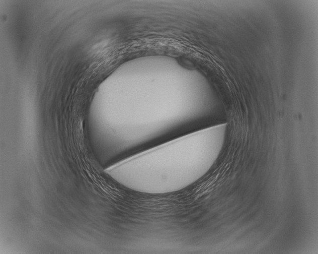 X0000067851489200604130906