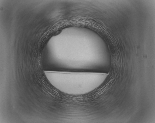 X0000067851490200604130906