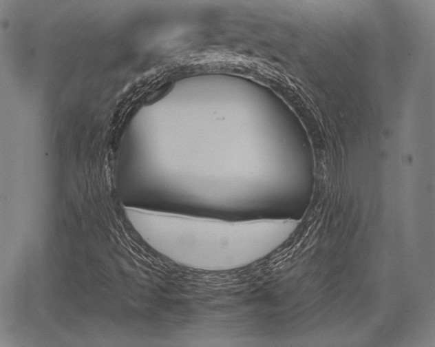 X0000067851493200604130906
