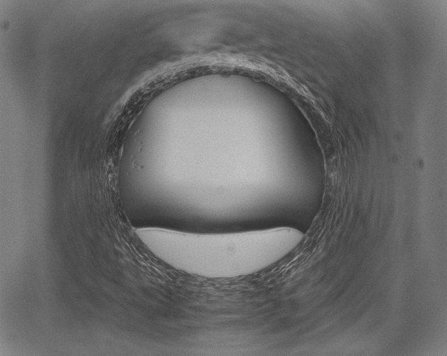 X0000067851495200604130906