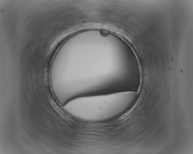 X0000067851499200604130906