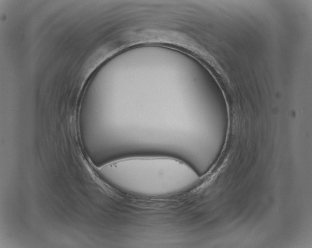 X0000067851513200604130906