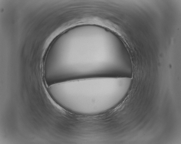 X0000067851519200604130906