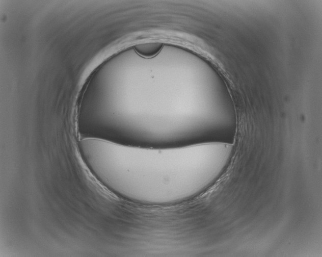 X0000067851522200604130906