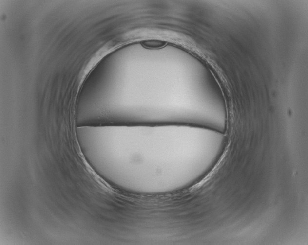 X0000067851529200604130906