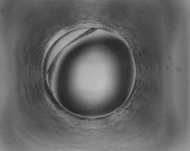 X0000067850008200604131302