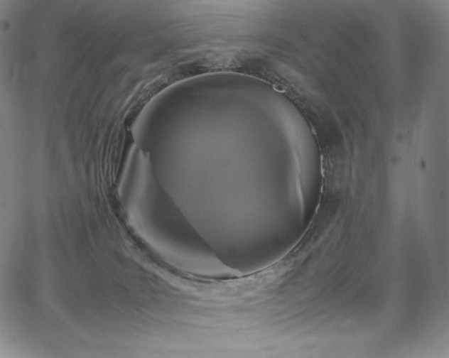 X0000067850035200604131302