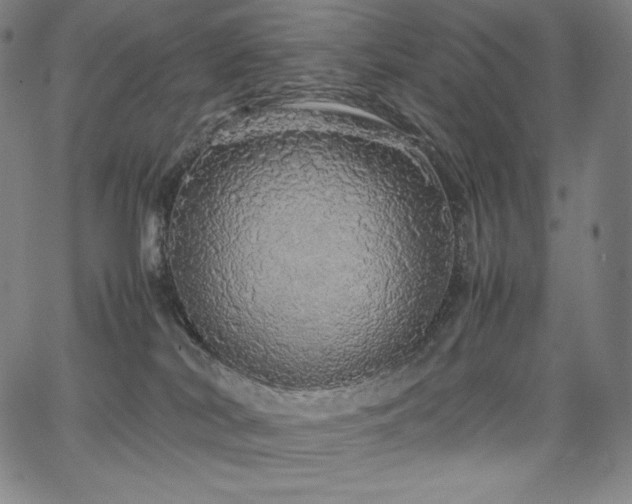 X0000067850038200604131302