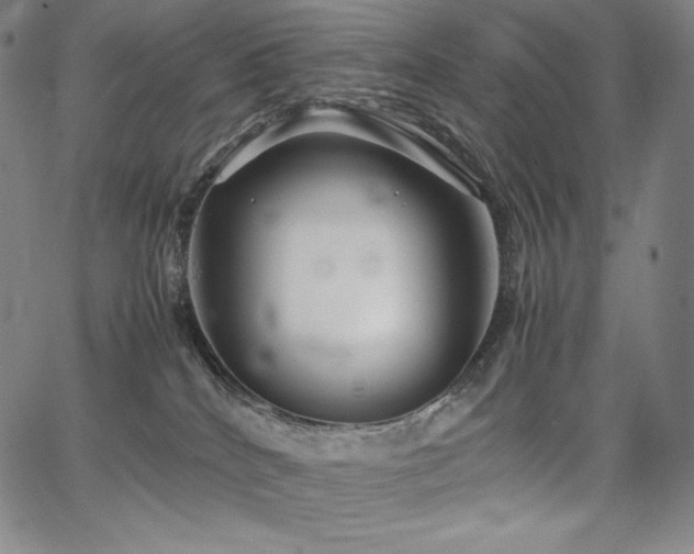 X0000067850040200604131302