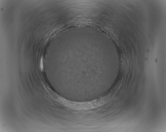 X0000067850042200604131302