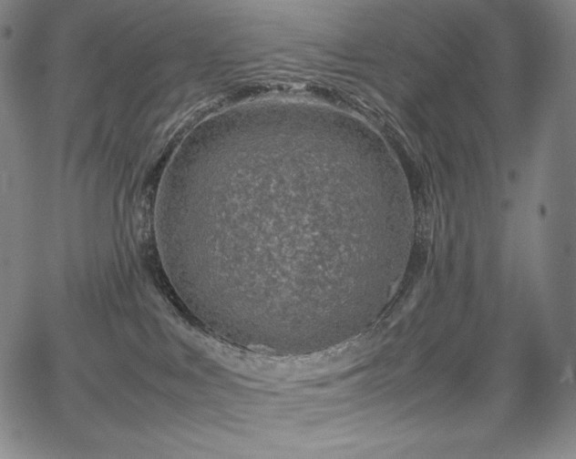 X0000067850043200604131302