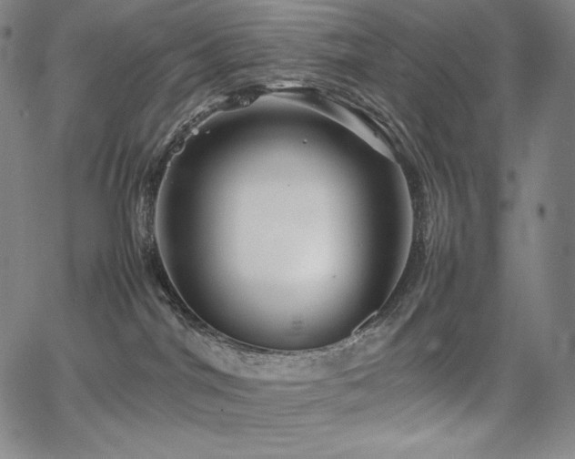 X0000067850044200604131302