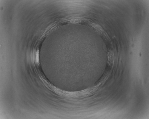 X0000067850046200604131302