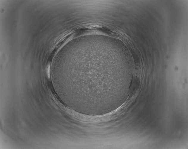 X0000067850047200604131302