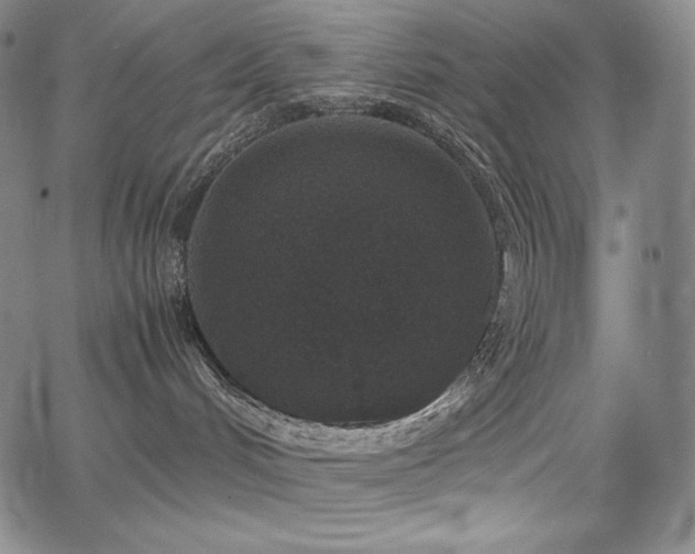 X0000067850048200604131302
