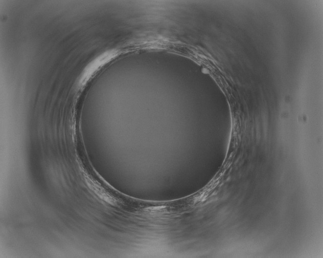 X0000067850054200604131301