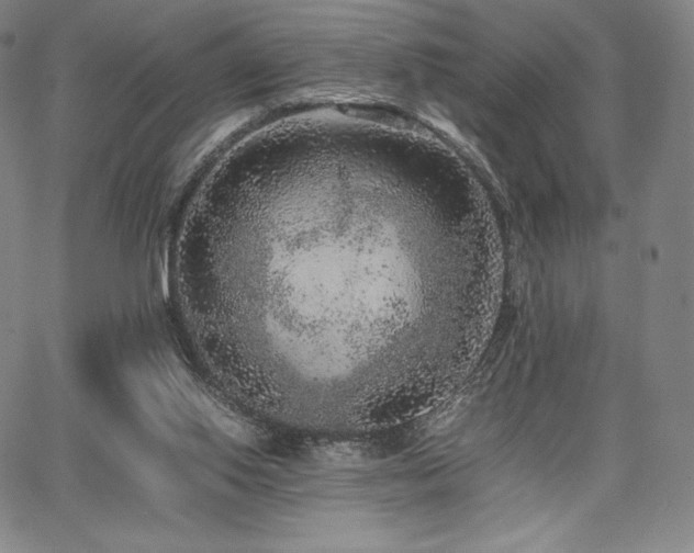 X0000067850062200604131301