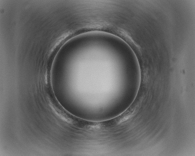 X0000067850068200604131301