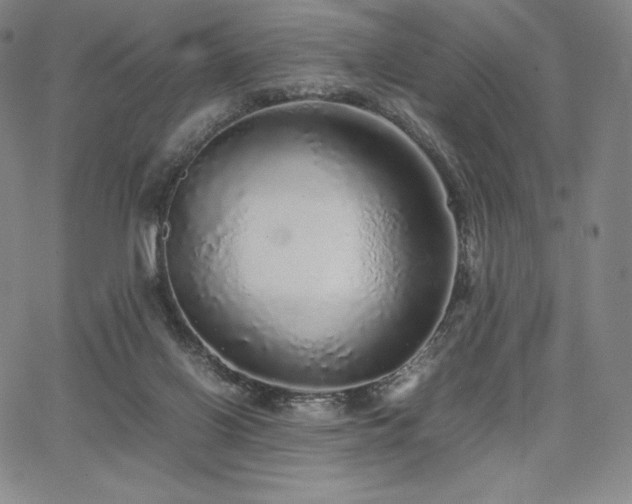 X0000067850070200604131301