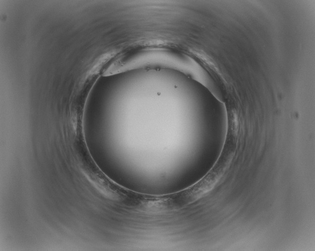 X0000067850072200604131301