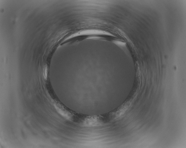 X0000067850076200604131302