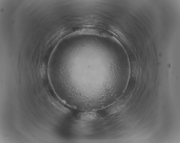X0000067850077200604131302