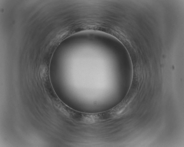 X0000067850079200604131302