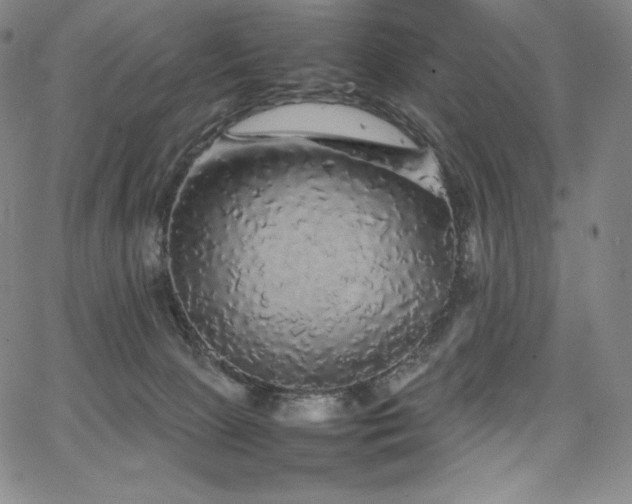 X0000067850081200604131302
