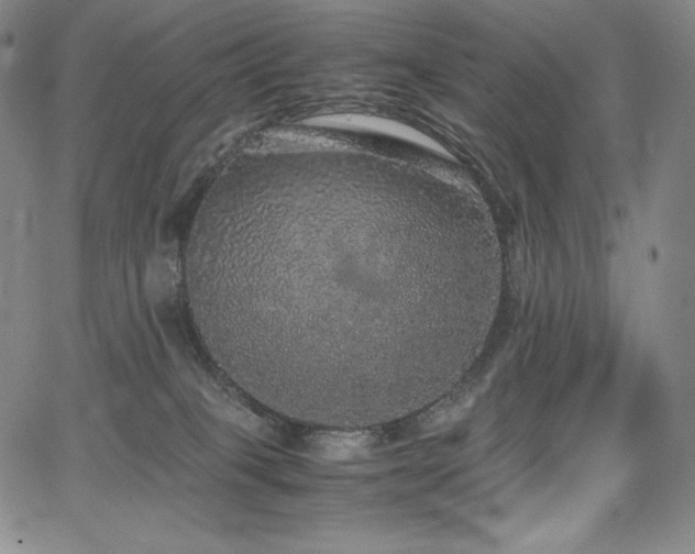 X0000067850085200604131302