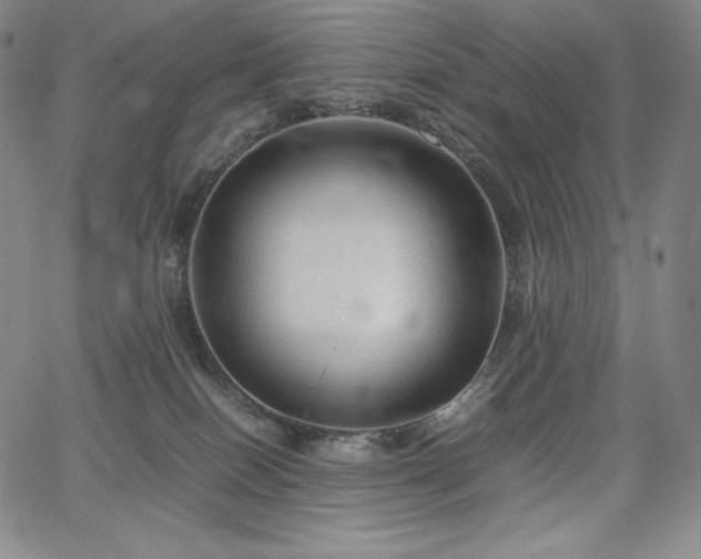 X0000067850086200604131302