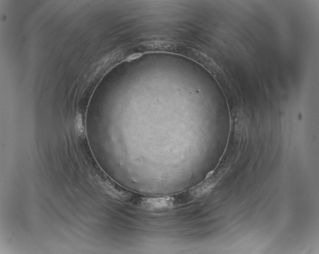 X0000067850089200604131302