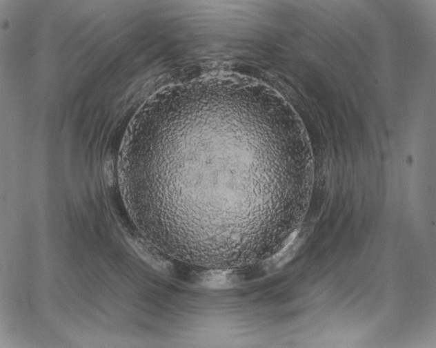 X0000067850090200604131302