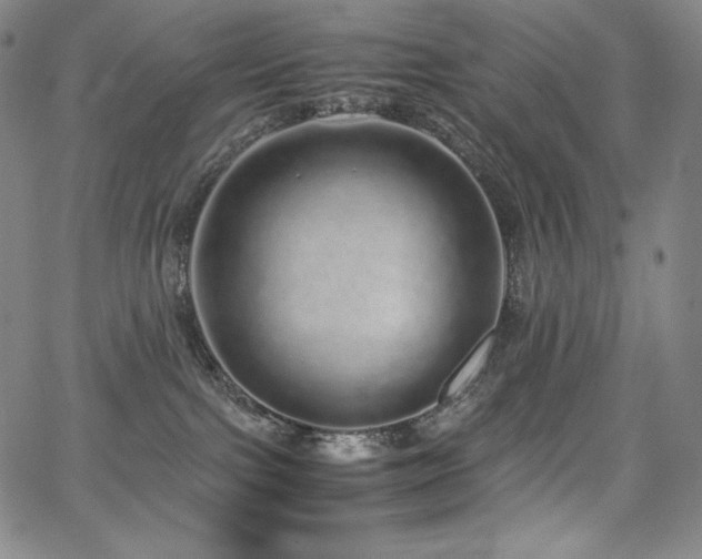 X0000067850091200604131302