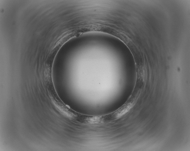 X0000067850092200604131302