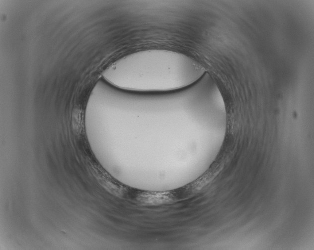 X0000067850093200604131302
