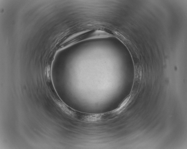 X0000067850094200604131302