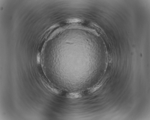 X0000067850095200604131302