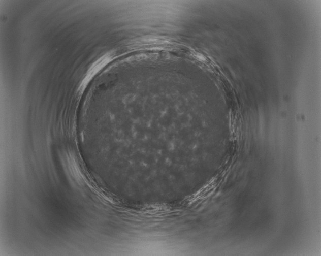 X0000067850099200604131301