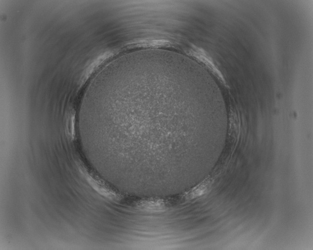 X0000067850110200604131301