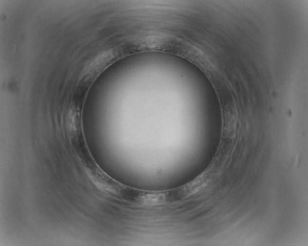 X0000067850126200604131301