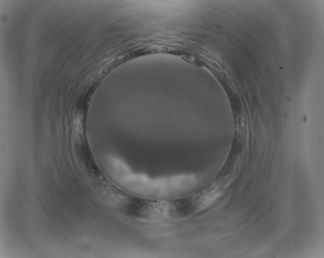 X0000067850127200604131301