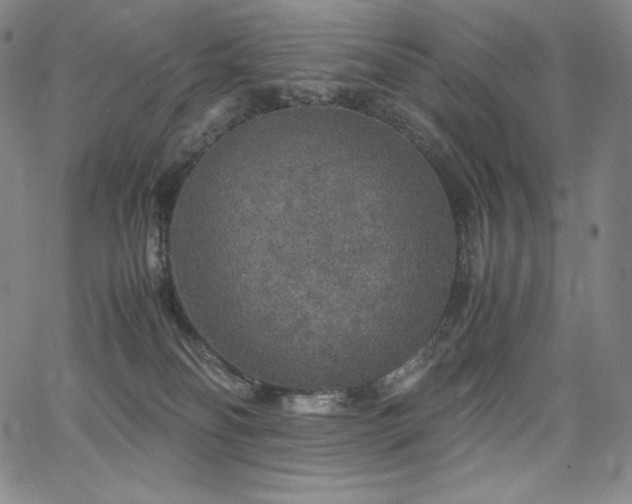X0000067850134200604131300
