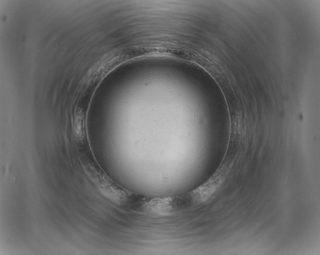 X0000067850138200604131300
